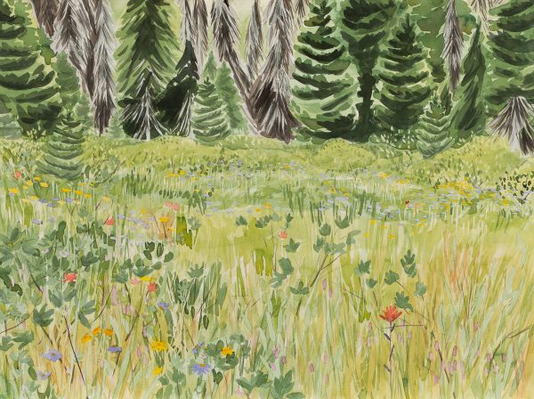 Lighthouses is a watercolour landscape of a wildflower meadow in the Northern Stein Divide, BC