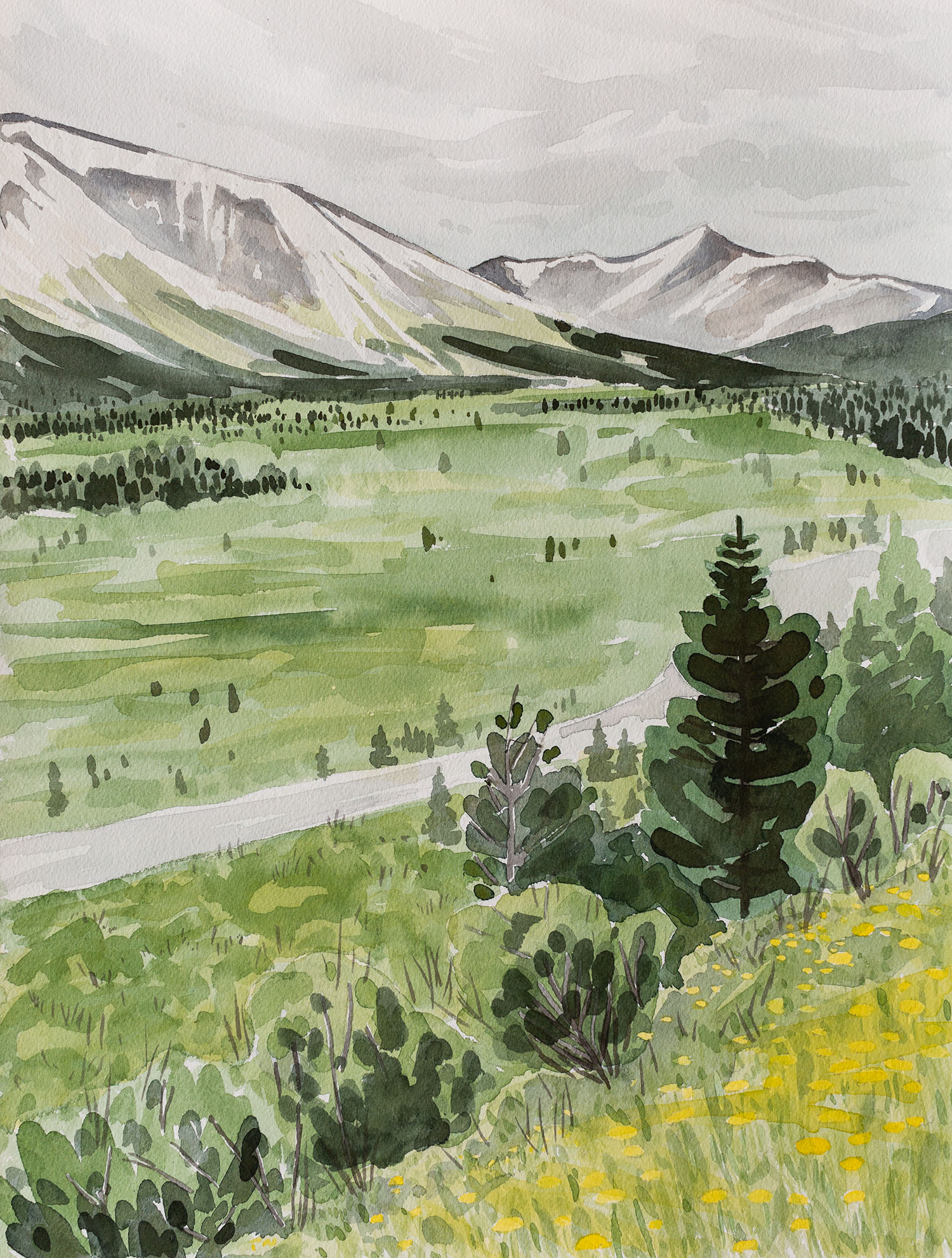 Do you like butter? is a watercolour landscape of the Cassiar Valley in Northern BC