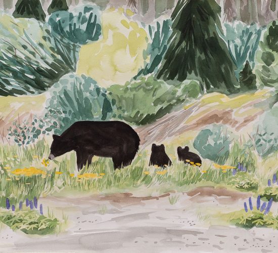 Fast Food is a watercolour portrait of a black bear family eating flowers along the Stewart Cassiar Highway in northern BC