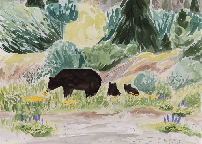 Fast Food is a watercolour portrait of a black bear family eating flowers along the Stewart Cassiar Highway in northern BC