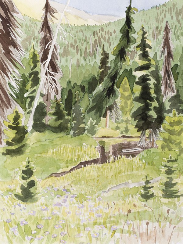 A Stop in Mosquito Town is a watercolour landscape of a subalpine wetland