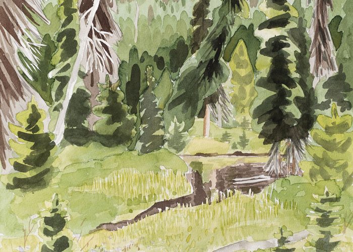 A Stop in Mosquito Town is a watercolour landscape of a subalpine wetland