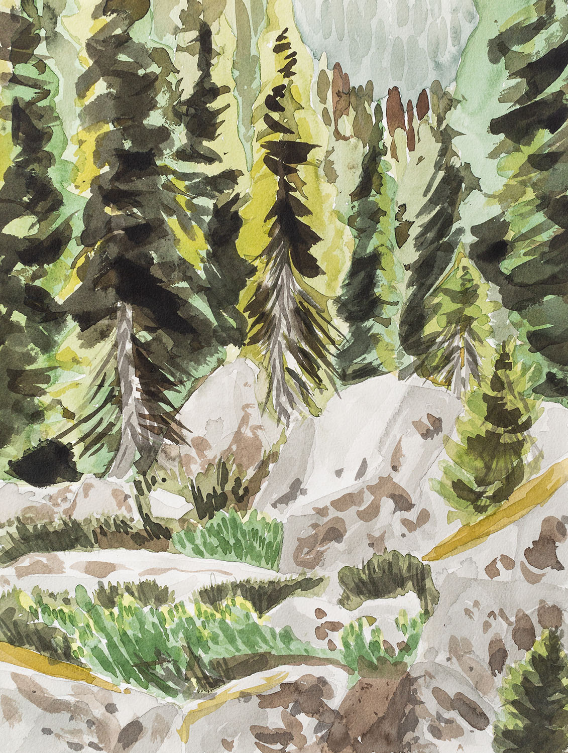 It Was a Forest of Boulders is a watercolour landscape of a forest boulder field