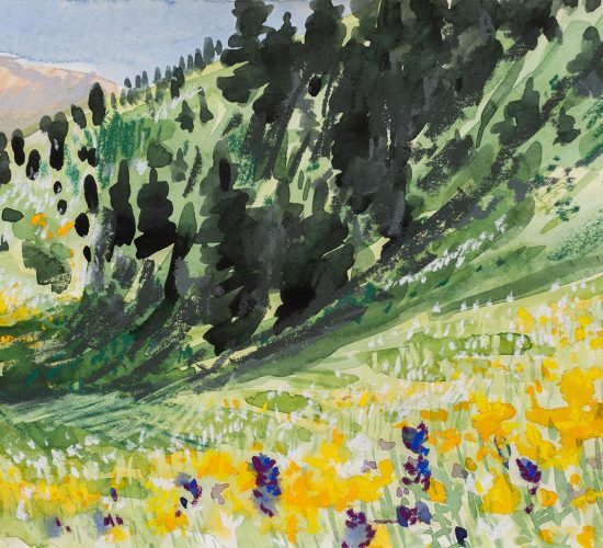 Mountains of Flowers is a watercolour and soft pastel landscape of a wildflower meadow, BC