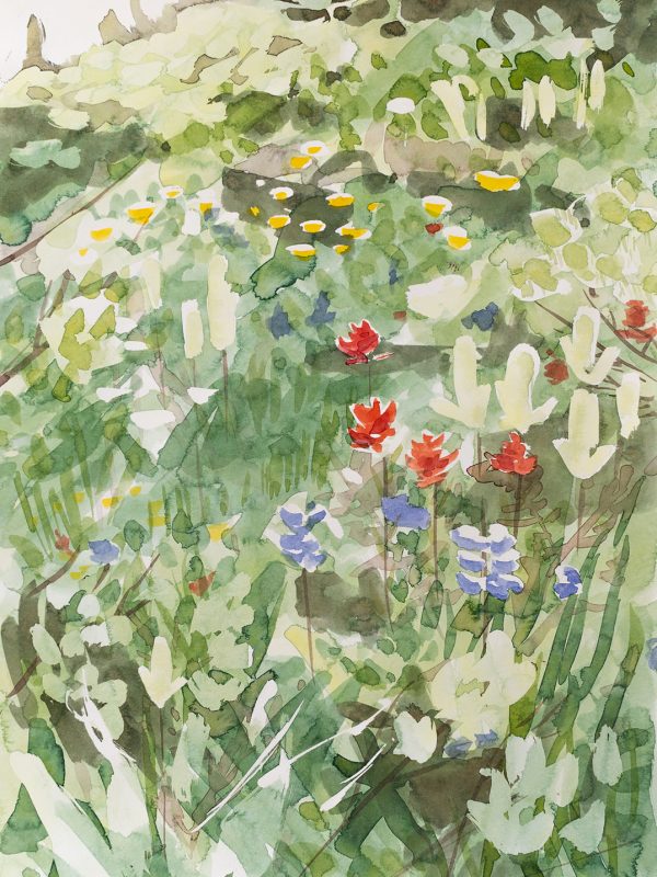 The Small Things is a watercolour floral of a wildflower meadow in BC