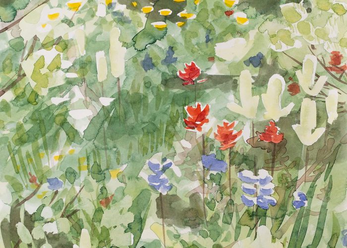 The Small Things is a watercolour floral of a wildflower meadow in BC