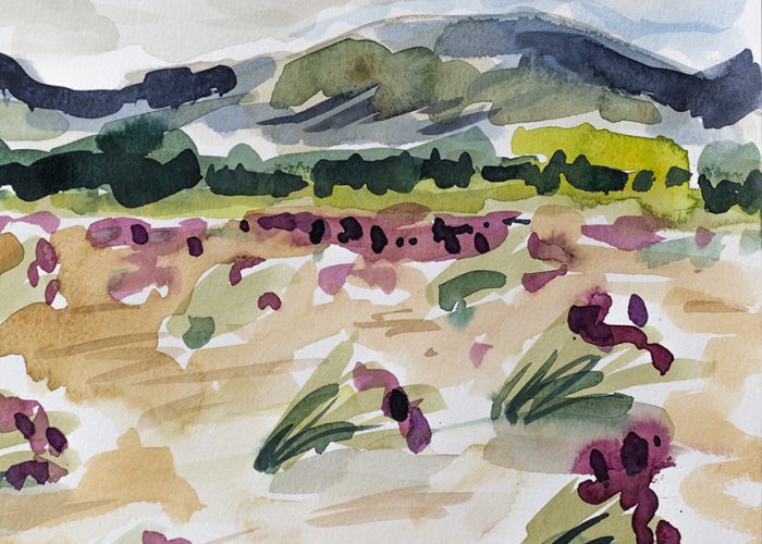 A watercolour landscape of Alpine Sweetvetch and the mountains of the Kluane in summer