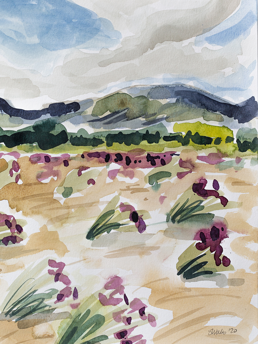 A watercolour landscape of Alpine Sweetvetch and the mountains of the Kluane in summer