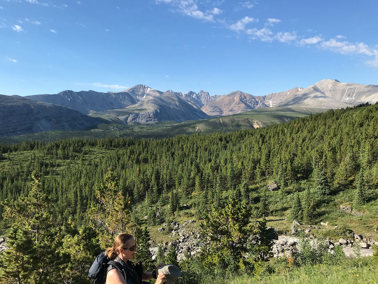 Artists Statement Shelley Wales